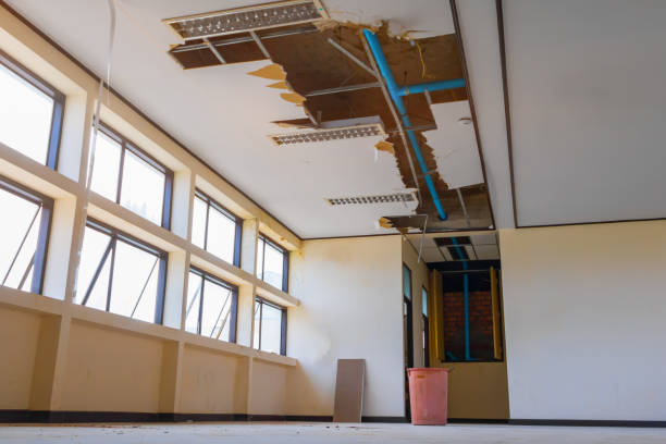Best Water damage restoration insurance claims  in Goodman, MS