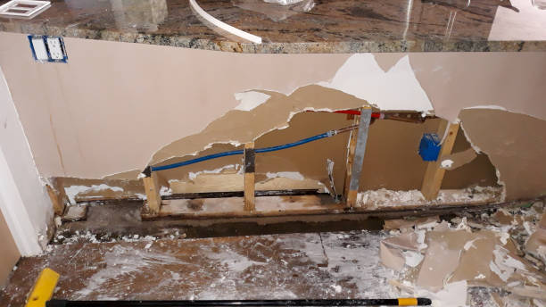 Best Basement water damage restoration  in Goodman, MS