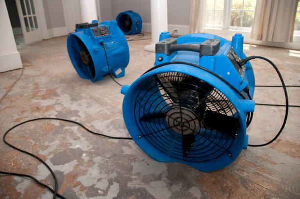 Best Fire Damage Restoration  in Goodman, MS