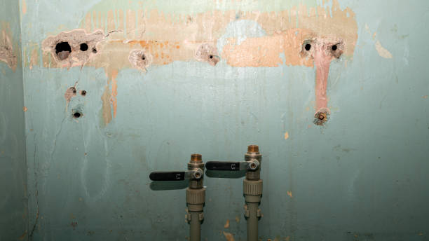 Best Residential water damage restoration  in Goodman, MS