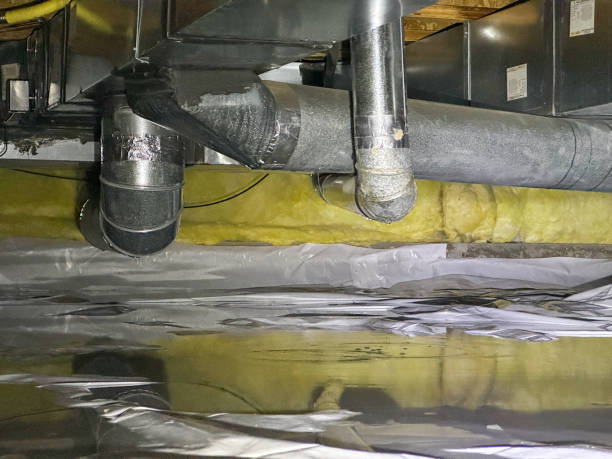 Best Professional water damage repair  in Goodman, MS