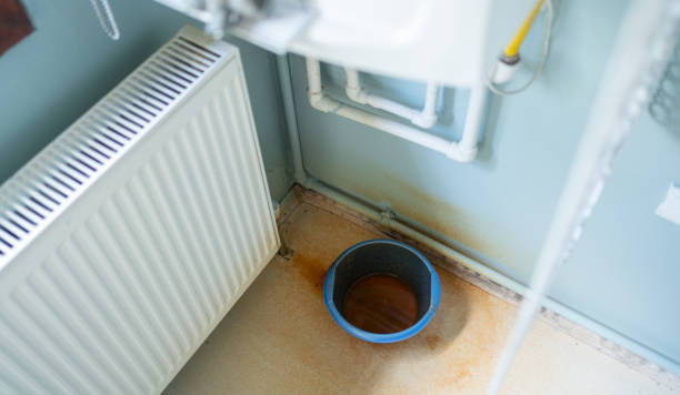 Best Mold removal after water damage  in Goodman, MS