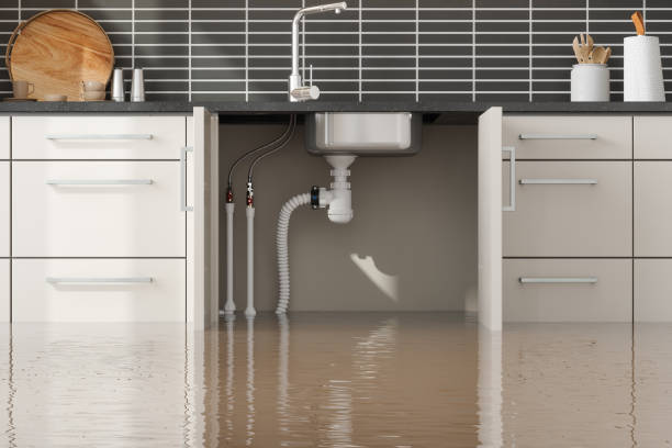 Best Flood restoration services  in Goodman, MS