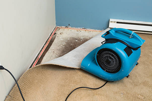 Best Commercial water damage restoration  in Goodman, MS